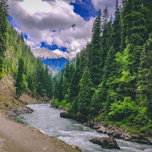 listing-details-carousel